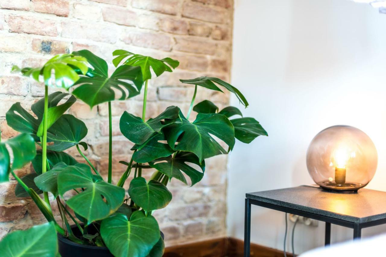 Salon Zamkowa Apartment Poznan Ngoại thất bức ảnh